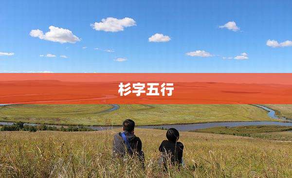 杉字五行