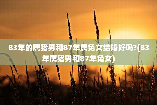 83年的属猪男和87年属兔女结婚好吗?(83年属猪男和87年兔女)