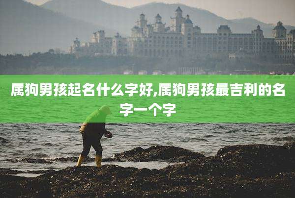 属狗男孩起名什么字好,属狗男孩最吉利的名字一个字