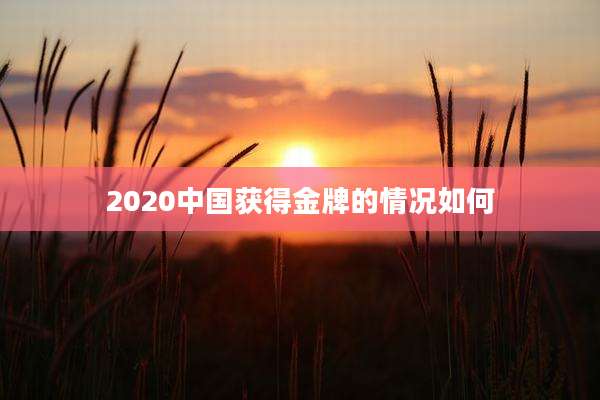 2020中国获得金牌的情况如何