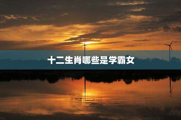 十二生肖哪些是学霸女