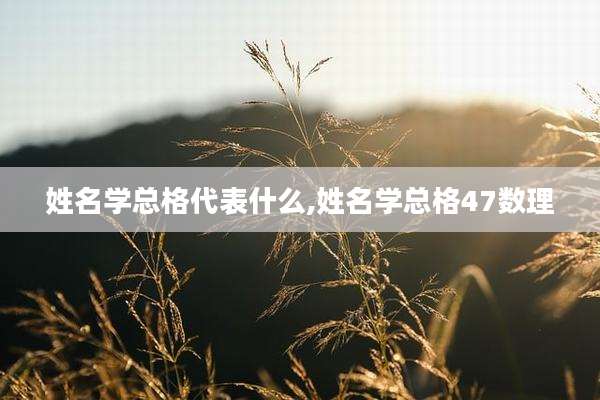 姓名学总格代表什么,姓名学总格47数理