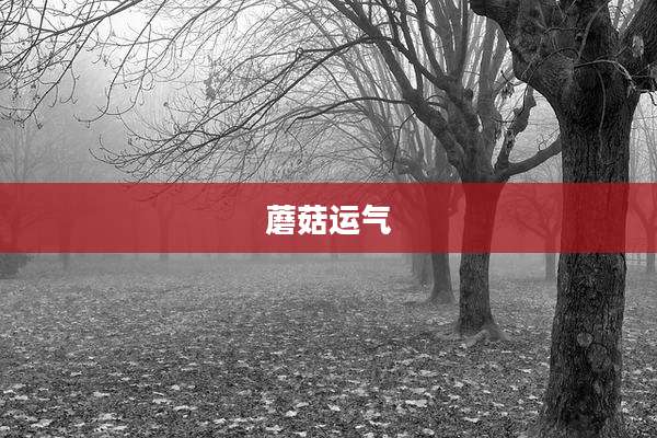 蘑菇运气
