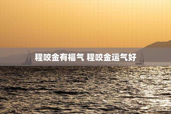 程咬金有福气 程咬金运气好