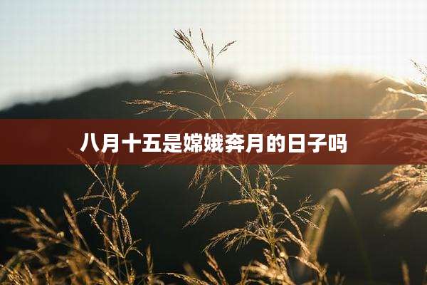 八月十五是嫦娥奔月的日子吗