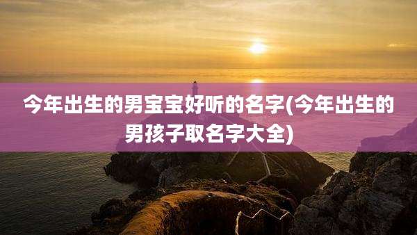 今年出生的男宝宝好听的名字(今年出生的男孩子取名字大全)