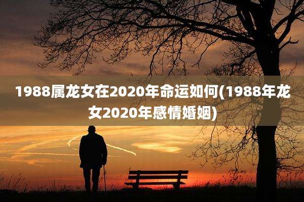 1988属龙女在2020年命运如何(1988年龙女2020年感情婚姻)