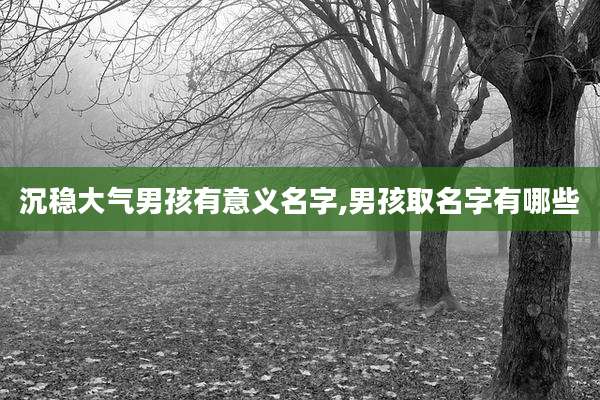 沉稳大气男孩有意义名字,男孩取名字有哪些