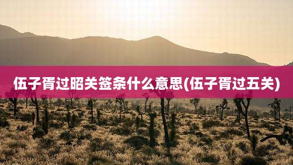 伍子胥过昭关签条什么意思(伍子胥过五关)
