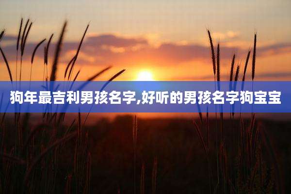 狗年最吉利男孩名字,好听的男孩名字狗宝宝