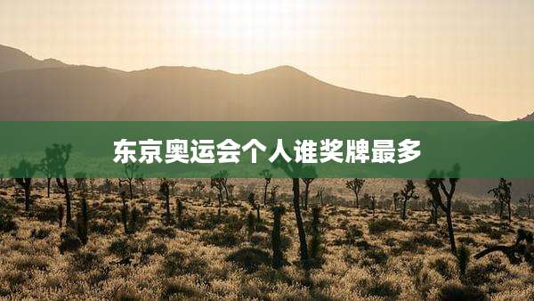 东京奥运会个人谁奖牌最多