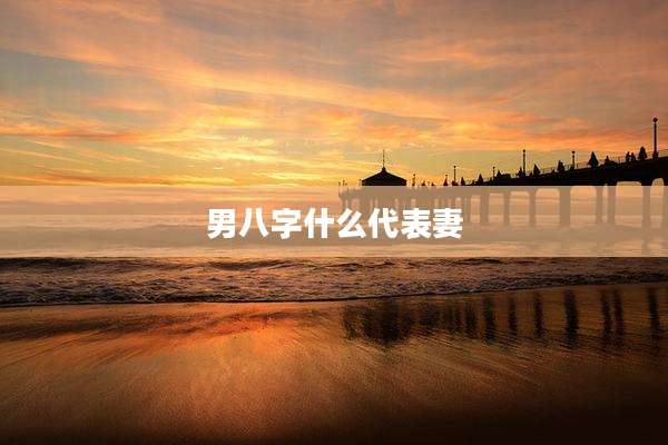 男八字什么代表妻