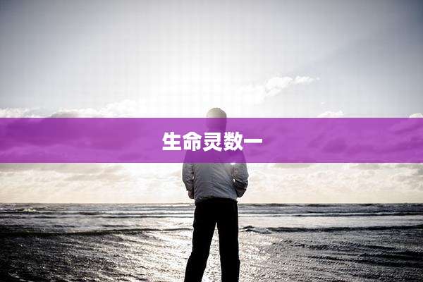生命灵数一