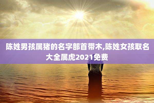 陈姓男孩属猪的名字部首带木,陈姓女孩取名大全属虎2021免费