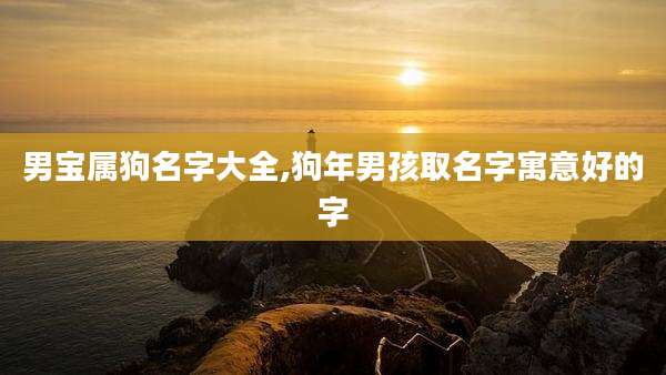 男宝属狗名字大全,狗年男孩取名字寓意好的字