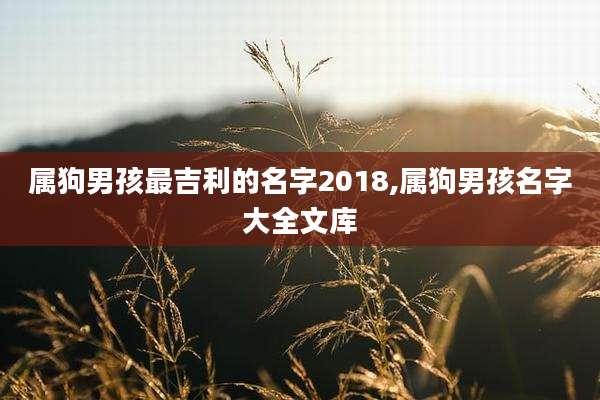 属狗男孩最吉利的名字2018,属狗男孩名字大全文库
