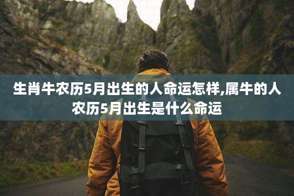 生肖牛农历5月出生的人命运怎样,属牛的人农历5月出生是什么命运