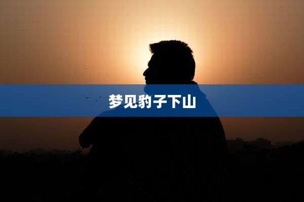 梦见豹子下山