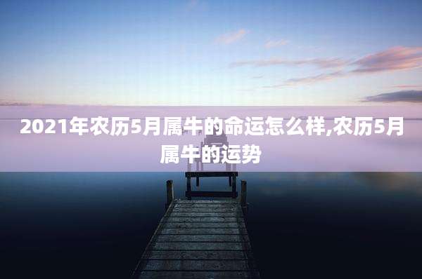 2021年农历5月属牛的命运怎么样,农历5月属牛的运势