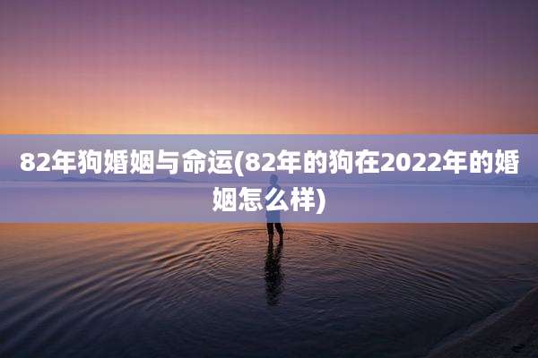 82年狗婚姻与命运(82年的狗在2022年的婚姻怎么样)