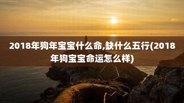 2018年狗年宝宝什么命,缺什么五行(2018年狗宝宝命运怎么样)