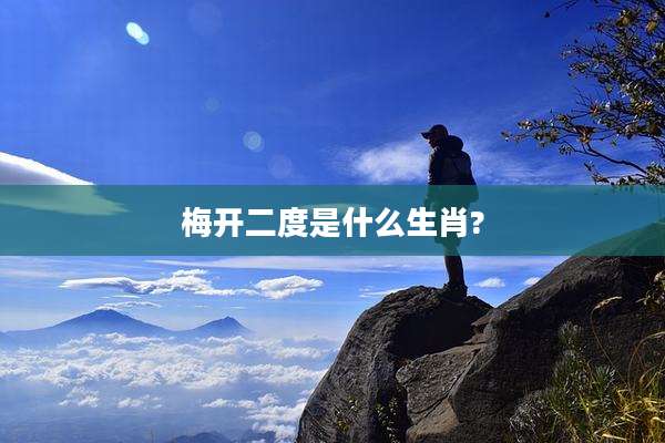 梅开二度是什么生肖?