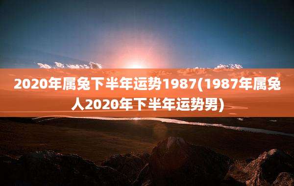 2020年属兔下半年运势1987(1987年属兔人2020年下半年运势男)