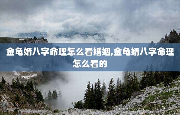 金龟婿八字命理怎么看婚姻,金龟婿八字命理怎么看的