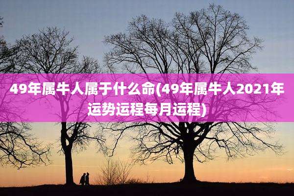 49年属牛人属于什么命(49年属牛人2021年运势运程每月运程)