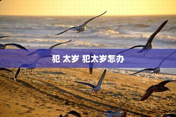 犯 太岁 犯太岁怎办