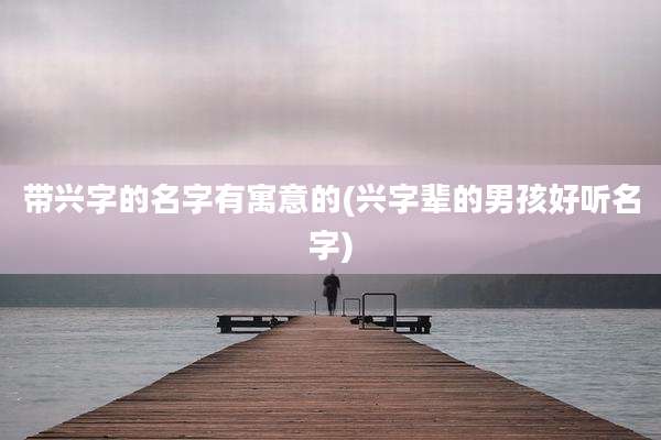 带兴字的名字有寓意的(兴字辈的男孩好听名字)