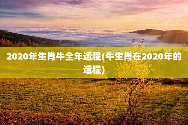 2020年生肖牛全年运程(牛生肖在2020年的运程)
