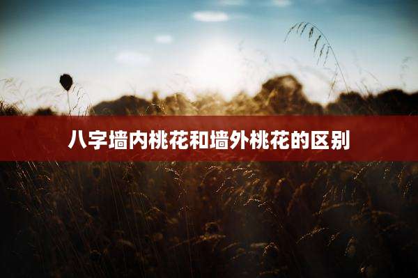 八字墙内桃花和墙外桃花的区别