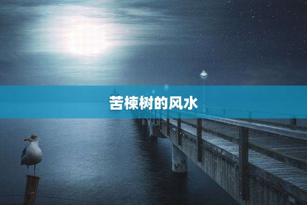 苦楝树的风水