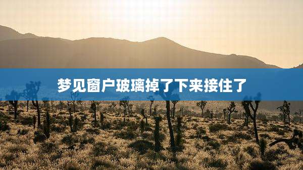 梦见窗户玻璃掉了下来接住了