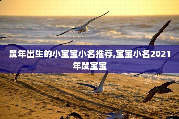 鼠年出生的小宝宝小名推荐,宝宝小名2021年鼠宝宝