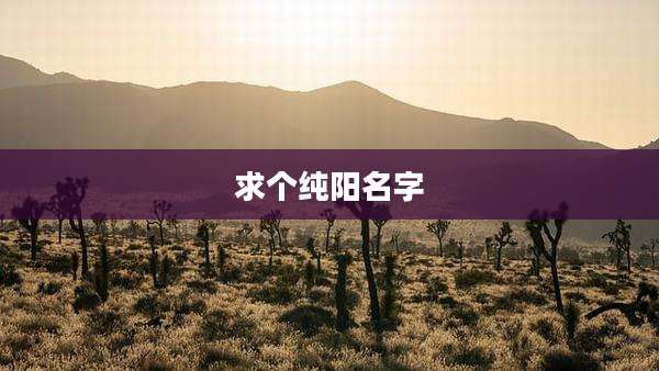 求个纯阳名字