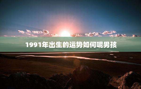 1991年出生的运势如何呢男孩