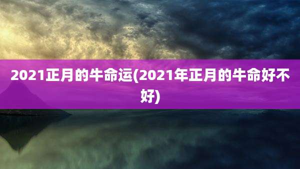 2021正月的牛命运(2021年正月的牛命好不好)