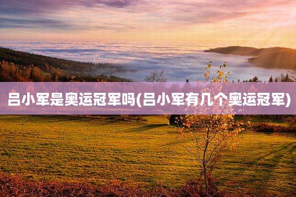 吕小军是奥运冠军吗(吕小军有几个奥运冠军)