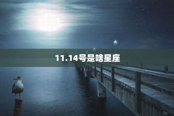 11.14号是啥星座
