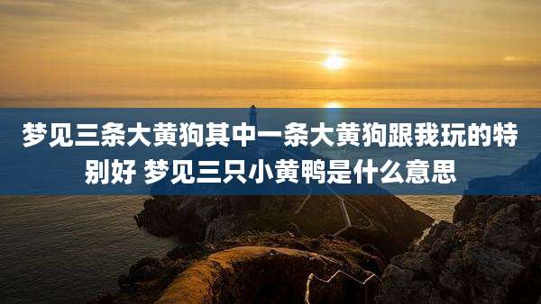 梦见三条大黄狗其中一条大黄狗跟我玩的特别好 梦见三只小黄鸭是什么意思