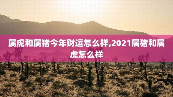 属虎和属猪今年财运怎么样,2021属猪和属虎怎么样
