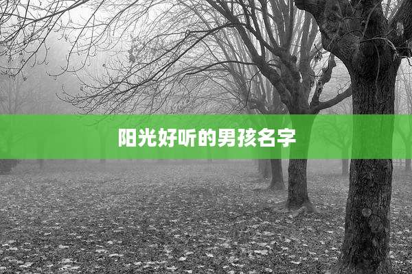 阳光好听的男孩名字