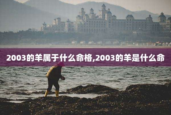 2003的羊属于什么命格,2003的羊是什么命