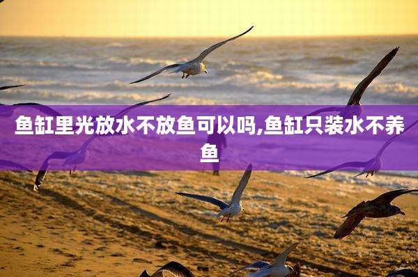鱼缸里光放水不放鱼可以吗,鱼缸只装水不养鱼