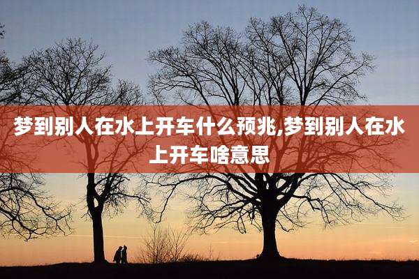 梦到别人在水上开车什么预兆,梦到别人在水上开车啥意思