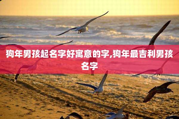 狗年男孩起名字好寓意的字,狗年最吉利男孩名字