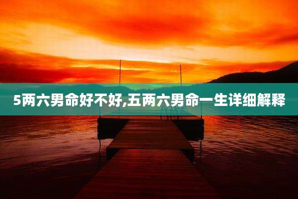 5两六男命好不好,五两六男命一生详细解释