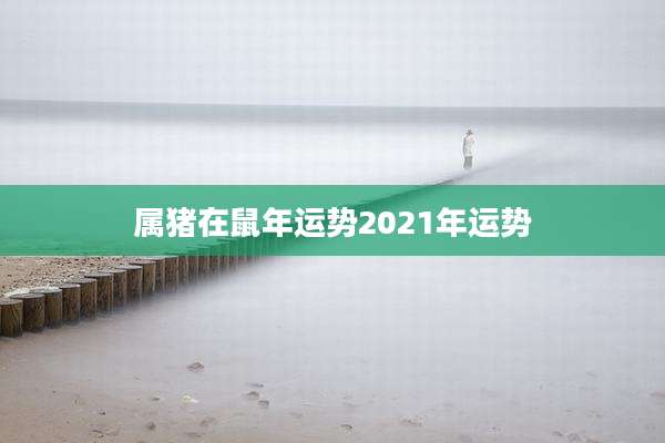 属猪在鼠年运势2021年运势